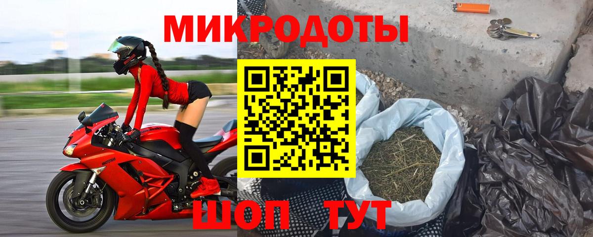 Псилоцибиновые грибы Psilocybe  Вход с VPN  Вологда 