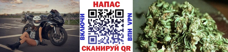 Каннабис Bruce Banner  сколько стоит  Вологда 